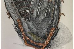 Ball-Glove